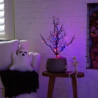 2ft. Pre-Lit Artificial Halloween Black Spooky Twig Tree with 60 Orange & Purple Copper Wire String LED Lights