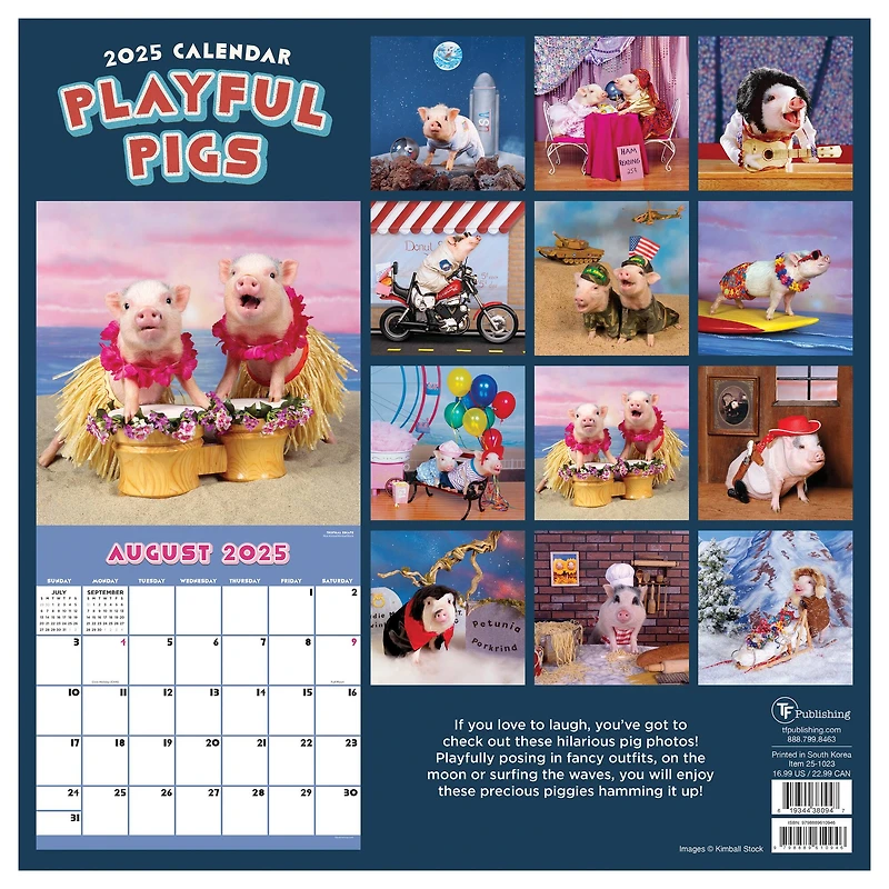 TF Publishing 2025 Playful Pigs Wall Calendar
