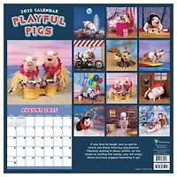TF Publishing 2025 Playful Pigs Wall Calendar
