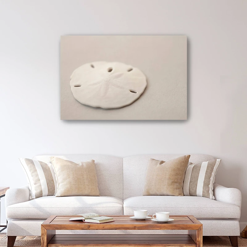 Sand Dollar Canvas Giclee