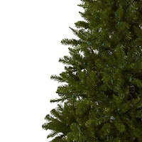 7.5ft. Pre-Lit Windermere Christmas Tree, Clear Lights