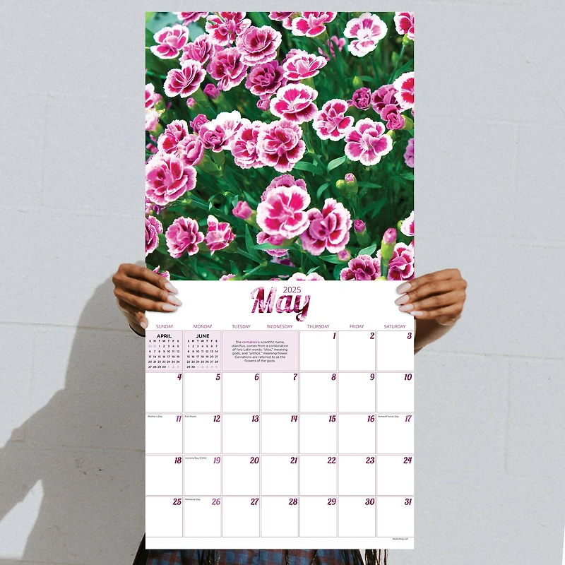 TF Publishing 2025 Flowers Wall Calendar