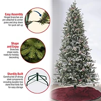 7.5 ft. Pre-Lit Feel Real® Snowy Poechmann Fir Artificial Cristmas Tree, Warm White LED Lights