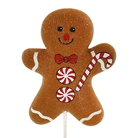 22" Iced Gingerbread Stem by Ashland®