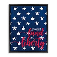 Stupell Industries Sweet Land Of Liberty Americana Floater Framed Art