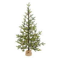 4ft. Pre-Lit Fraser Fir Artificial Christmas Tree, Clear LED Lights