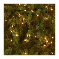 9 ft. Pre-Lit Dunhill® Fir Medium Profile Artificial Christmas Tree, Clear Lights