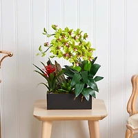 23.5" Pigeon Orchid & Bromeliad Arrangement in Black Rectangle Planter