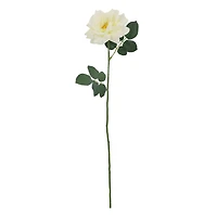 25" Cream Rose Real Touch Stem by Ashland®