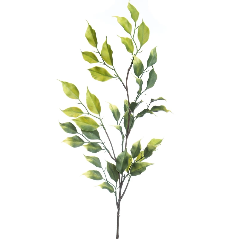 30" Green Ficus Stem by Ashland®