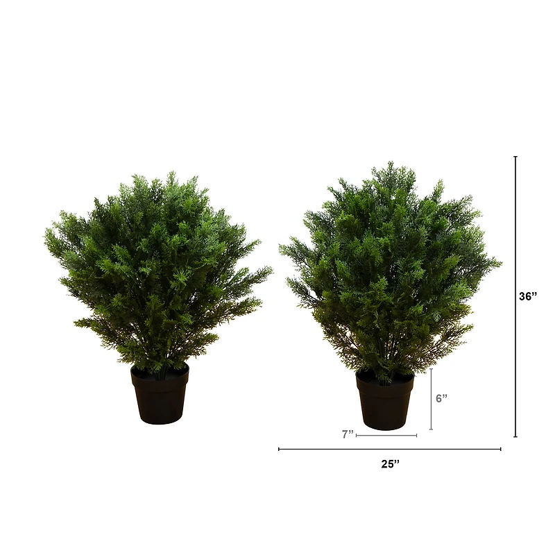3ft. Potted UV Resistant Cedar Trees, 2ct.