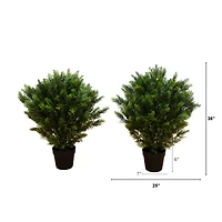 3ft. Potted UV Resistant Cedar Trees, 2ct.
