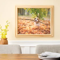 16" x 20" Unfinished Open Back Frame by Studio Décor®