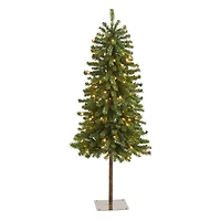 4ft. Pre-Lit Alpine Artificial Christmas Tree with Clear Lights