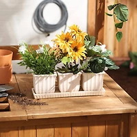 Square Ceramic Small Planter Set