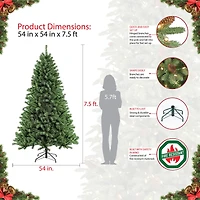 7.5ft. Pre-Lit Northern Fir Artificial Christmas Tree, Clear Lights