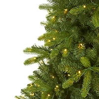 7ft. Pre-Lit New Haven Spruce Artificial Christmas Tree, Clear LED Lights
