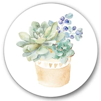 Designart - Succulent Flower In Terracotta Pot II
