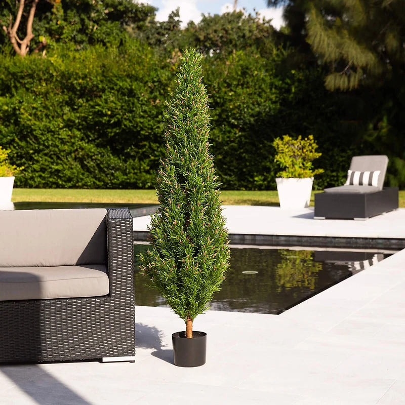5ft. Potted UV Resistant Rosemary Cone Topiary Tree