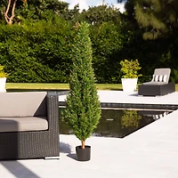 5ft. Potted UV Resistant Rosemary Cone Topiary Tree