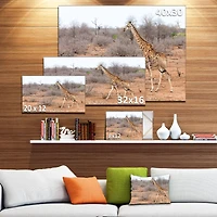 Designart - Giraffe Walking through African Forest