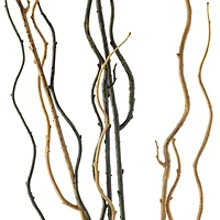 Tropical Twig Branch by Ashland®