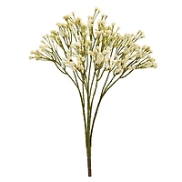 Cream Baby's Breath Sprays, 12ct.