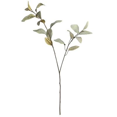 Green Feather Eucalyptus Stem by Ashland®