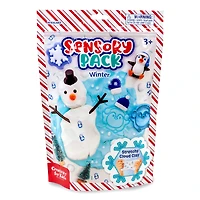 Creativity for Kids® Sensory Pack Winter