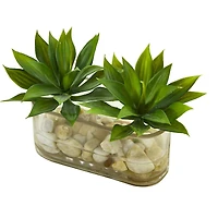 6.5" Mini Agave Succulent Arrangement in Glass Vase