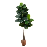 6ft. Rubber Tree in Decorative Planter with Real Touch Leaves