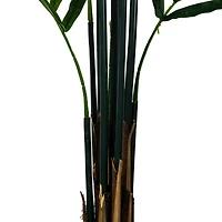 7ft. Potted Kentia Palm