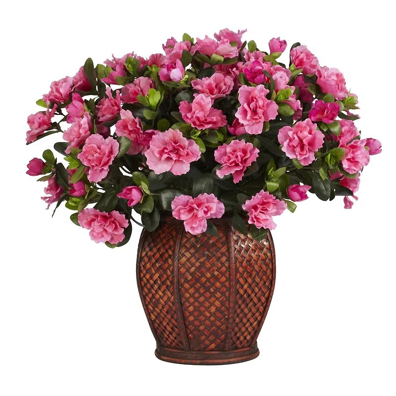 20" Azalea Plant with Vase