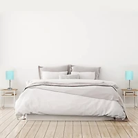 LimeLights 19.5" Brushed Steel Base Lamps with Charging Outlets