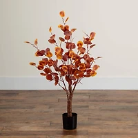 3ft. Pre-Lit Autumn Eucalyptus Artificial Fall Tree with 80 Warm White LED Lights
