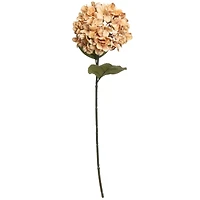 28" Cream Hydrangea Stem by Ashland®