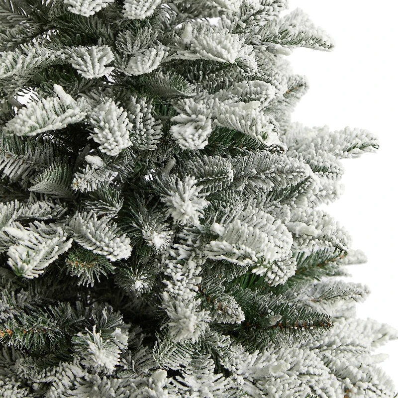 4ft. Pre-Lit Flocked North Carolina Fir Artificial Christmas Tree, Clear Lights