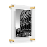 Wexel Art Double Panel Clear Acrylic Floating Wall Frame with Gold Hardware