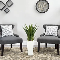 40" Spiky Agave Plant in White Planter