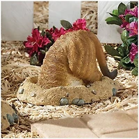 Design Toscano 6.5" Into Hole Kalahari Meerkat Statue