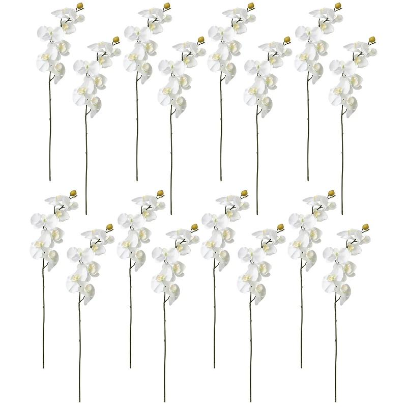 16 Pack: White Moth Orchid Stem by Ashland®