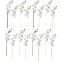 16 Pack: White Moth Orchid Stem by Ashland®
