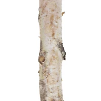 16" Birch Log by Ashland®