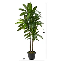 4ft. Dracaena Silk Plant 
