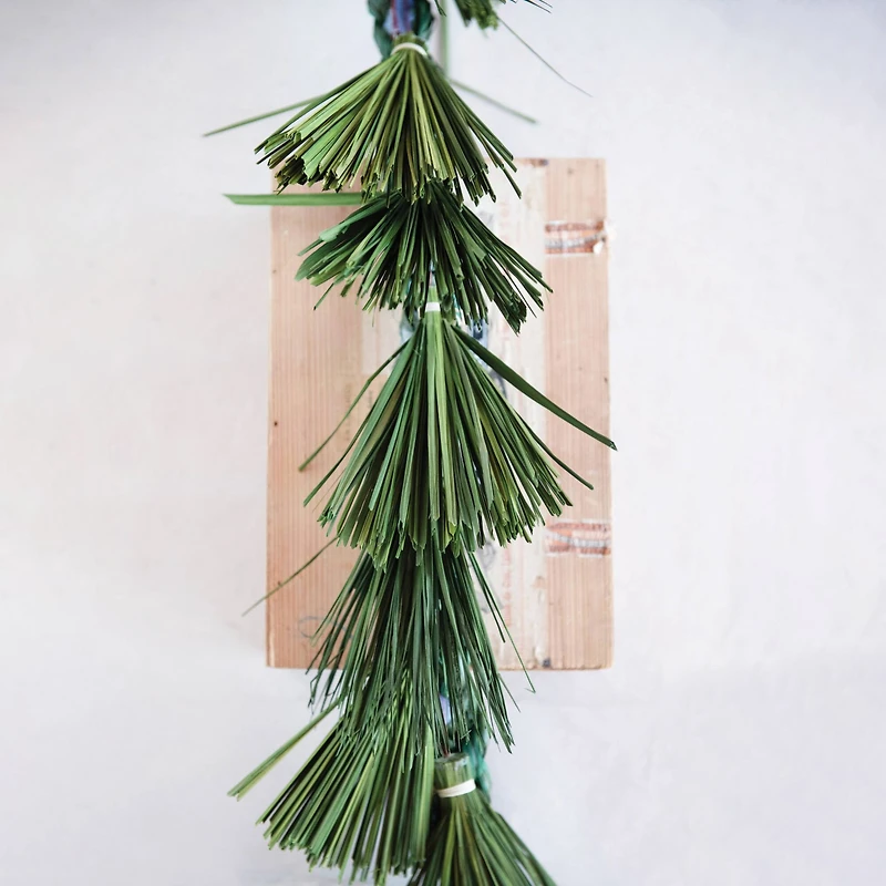 Hello Honey® 6ft. Green Dried Natural Plume Grass Garland