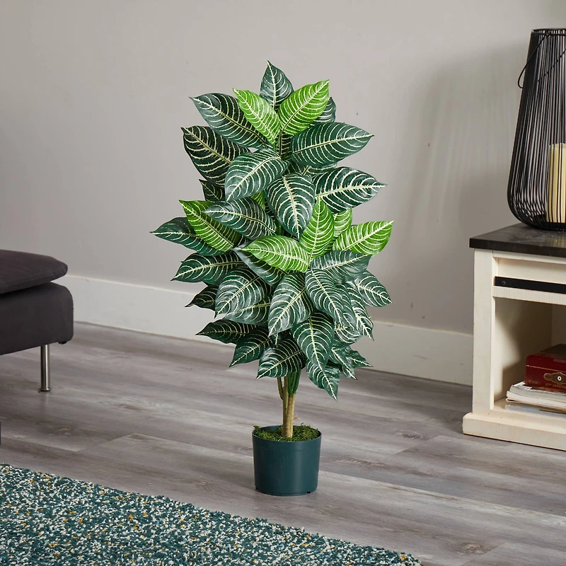 3ft. Potted Zebra Plant