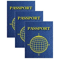 Ashley Productions Blank Passports, 12 Per Pack, 3 Packs