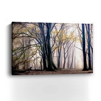 Fall Softly Canvas Giclee