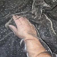 Feldman Silver Dots & Stars Metallic Knit Fabric