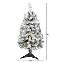 3ft. Pre-Lit Flocked Rock Springs Spruce Artificial Christmas Tree, Clear LED Lights